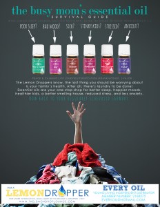 BUSY MOM'S GUIDE v1.1