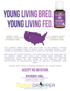 MONA & ST. MARIES v1.1