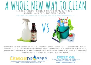 THIEVES CLEANER v1.1